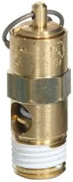 Предпазен клапан на американската марка за производство Sellerocity е Съвместим с за Kobalt Занаятчийска Колман Powermate E102611 E100313