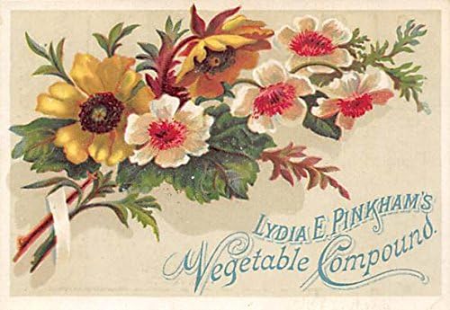 Зеленчукова съставката Лидия Пинкхэм Монтичело, Ню Йорк, пощенска Картичка
